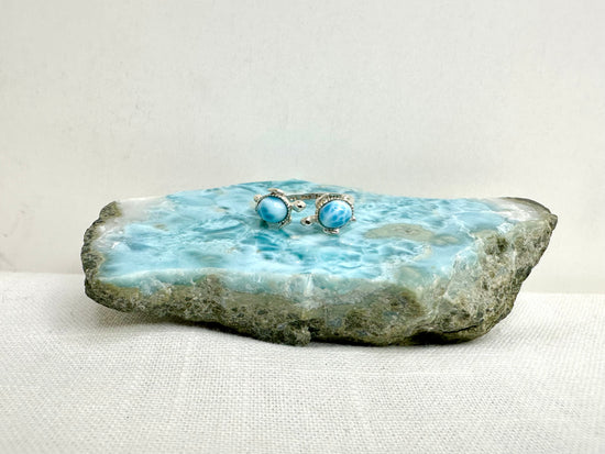 Sea Turtle Guardian Larimar Ring