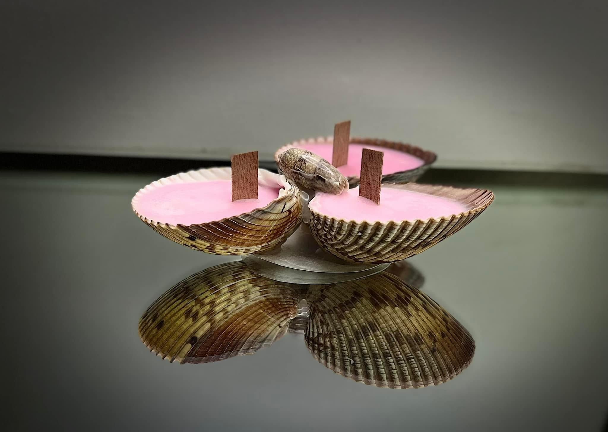 Painted Shell Candles Florida Sunset Cockle Shells Custom Made Candles Trio β Romyβs Candles ...